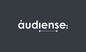audience-connect