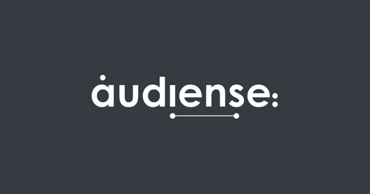 audience-connect